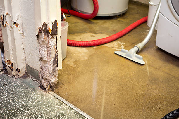 flood restoration services Gretna, NE