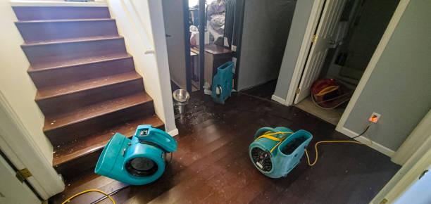 water damage cleanup Gretna, NE