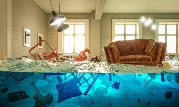 water damage restoration Gretna, NE