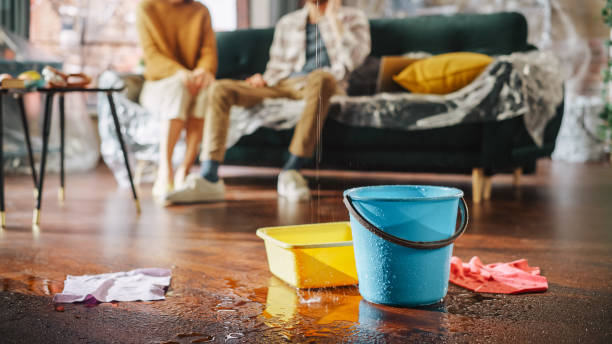 Water Damage Restoration Gretna, NE